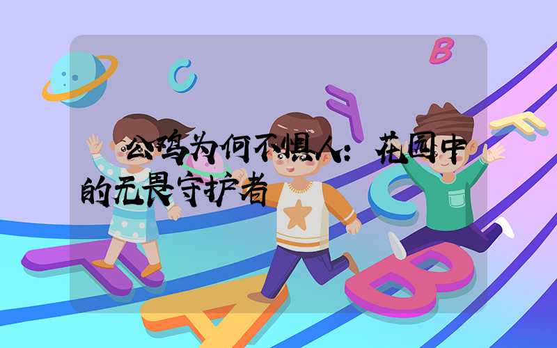  公鸡为何不惧人：花园中的无畏守护者